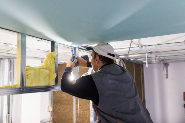Best Residential Insulation Services  in Shelbina, MO