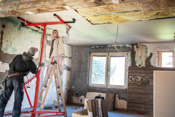 Best Insulation for New Construction  in Shelbina, MO
