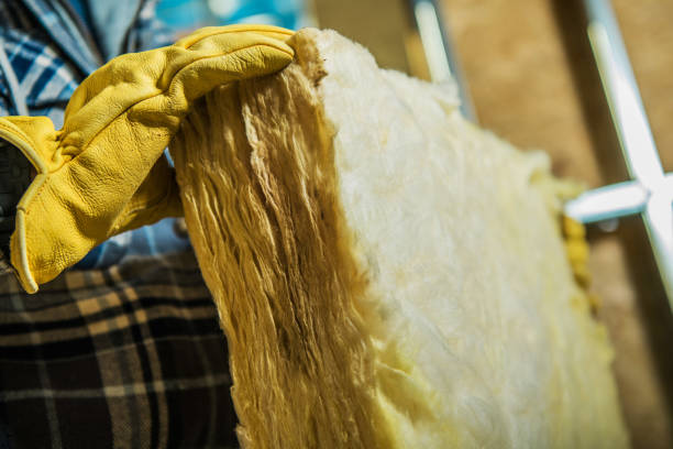 Best Attic Insulation Installation  in Shelbina, MO