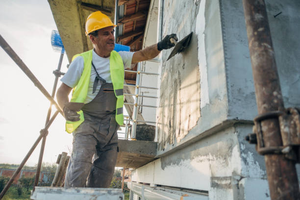 Best Insulation Removal  in Shelbina, MO