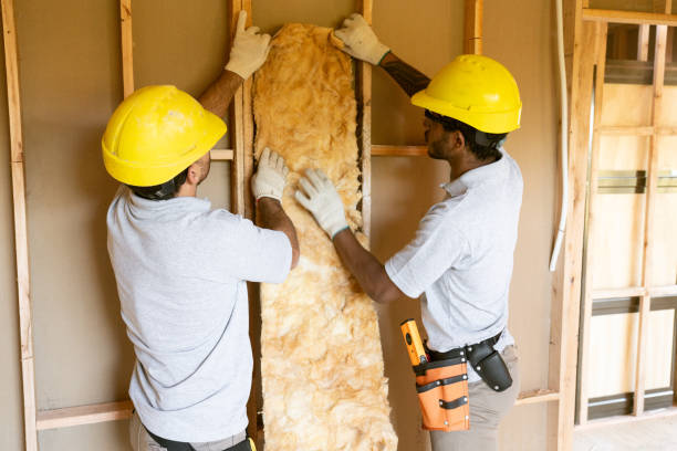 Best Insulation Contractor Near Me  in Shelbina, MO
