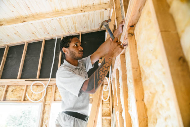 Best Blown-in Insulation  in Shelbina, MO
