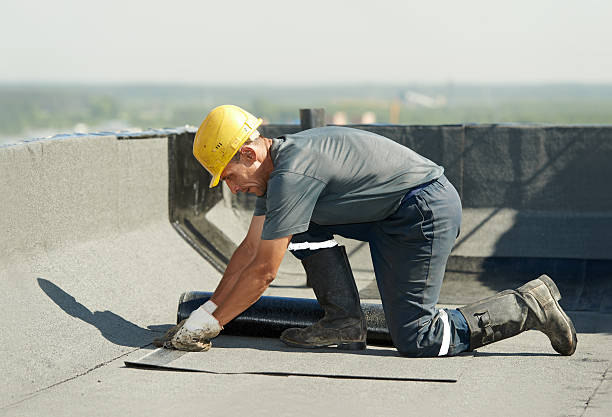 Best Spray Foam Insulation  in Shelbina, MO