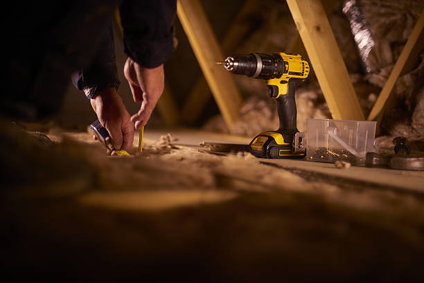 Best Local Insulation Services  in Shelbina, MO