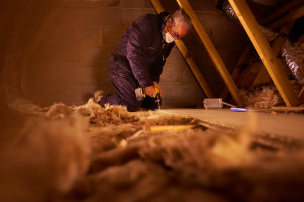 Best Insulation Inspection Services  in Shelbina, MO